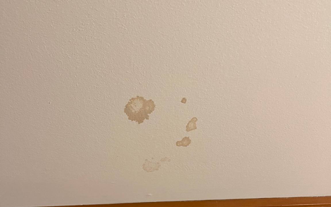 Ceiling stains are often the first sign of storm damage on the roof above.