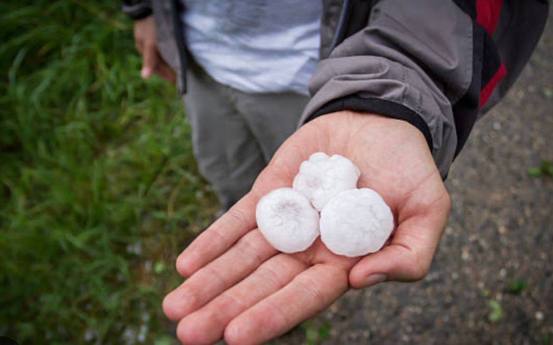 Hailstones collected after a metro Atlanta storm.