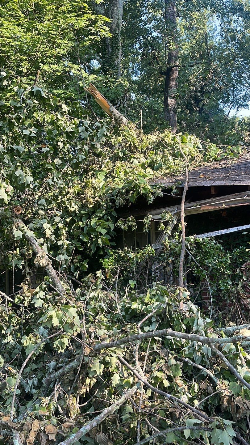 Storm Damage Repair in Avondale Estates