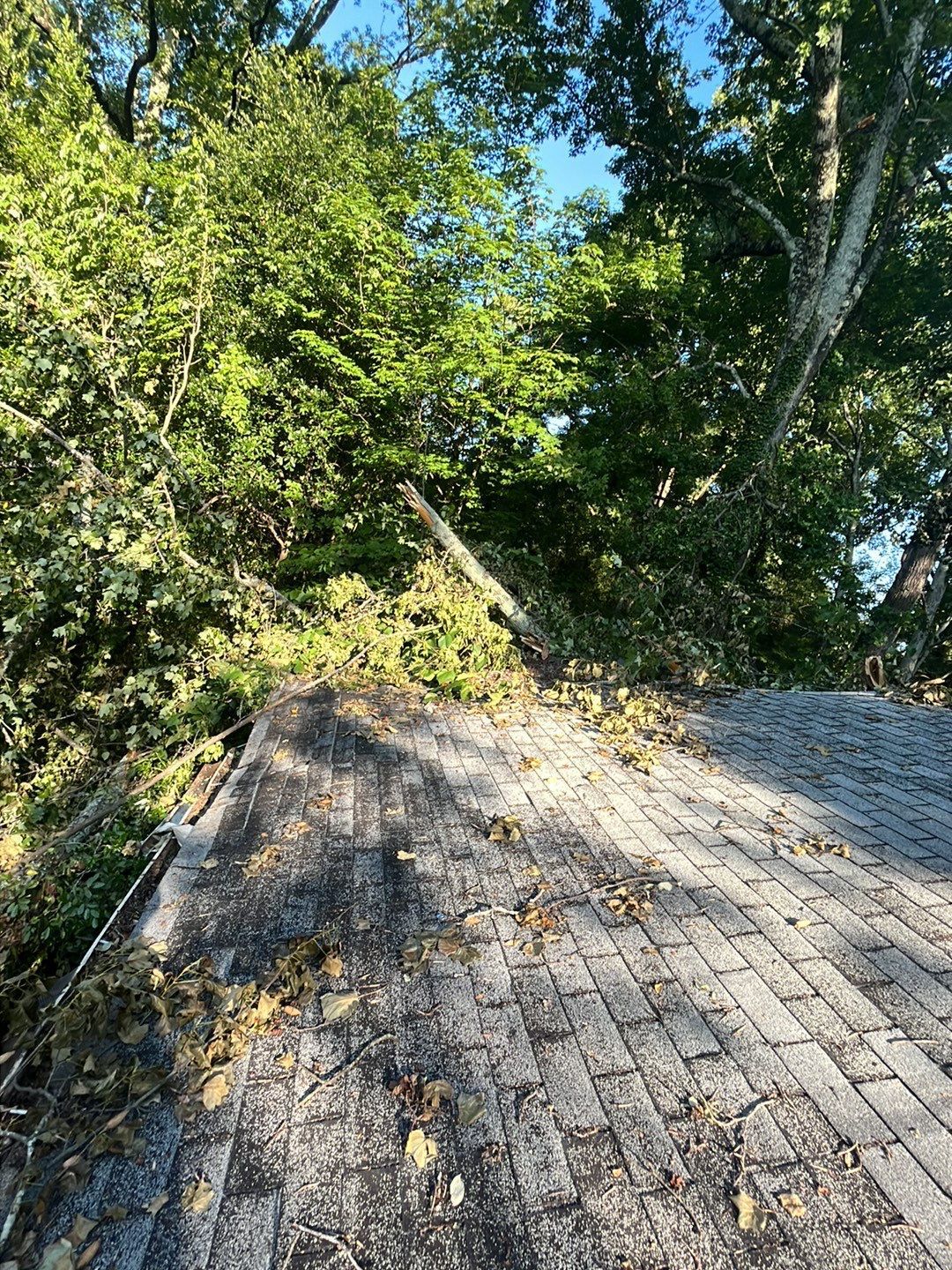 Storm Damage Repair in Avondale Estates