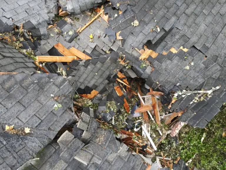 Storm Damaged Roof from Tree Strike